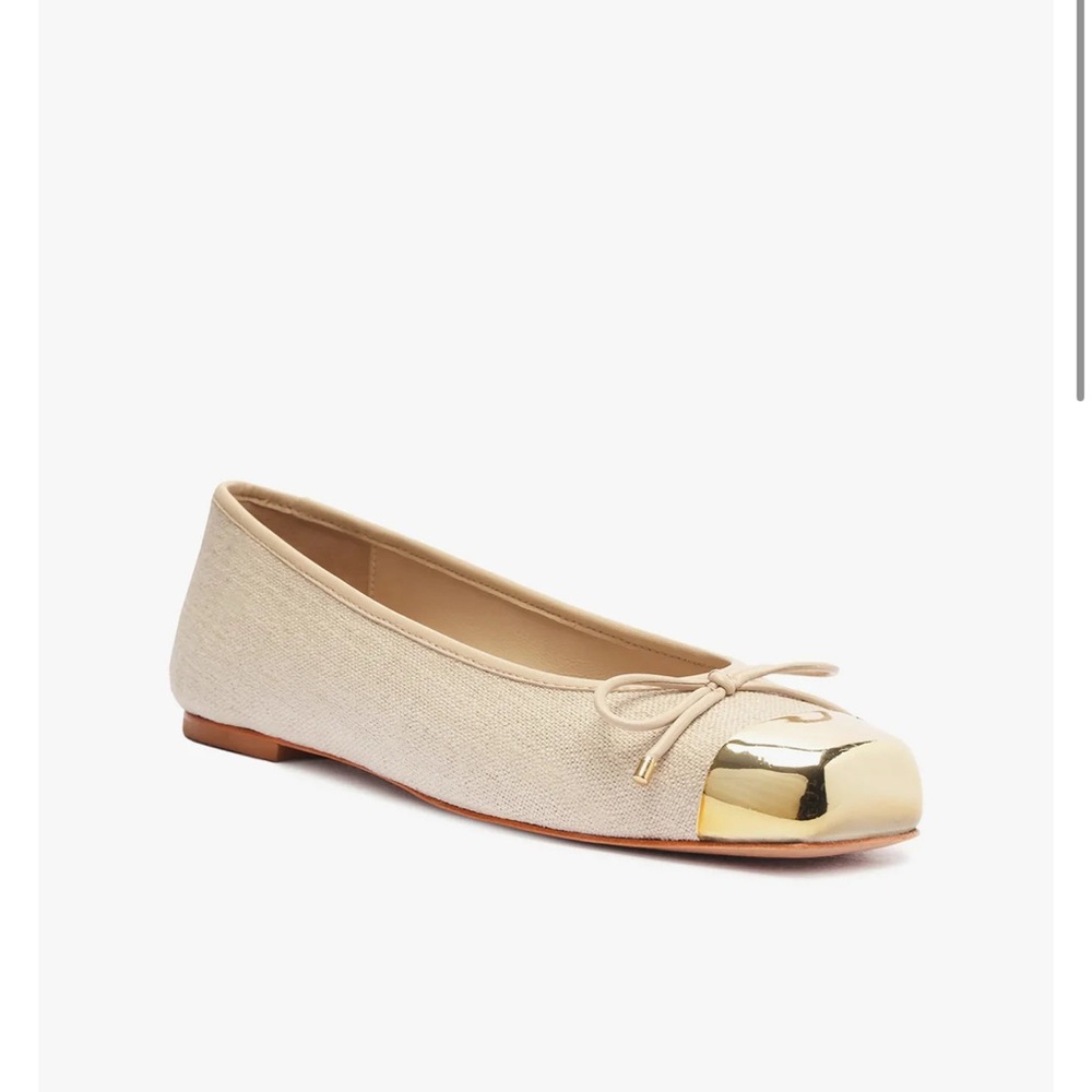 SCHUTZ SAE Leather Flat